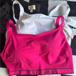 😁😁😁NWT😁TWO 18/20 Cacique 😁😁😁Pink Seamless Bralette - Bright Pink and White😁😁😁
